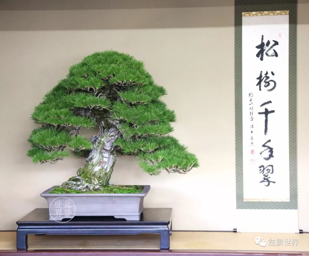 日本最美盆景园
