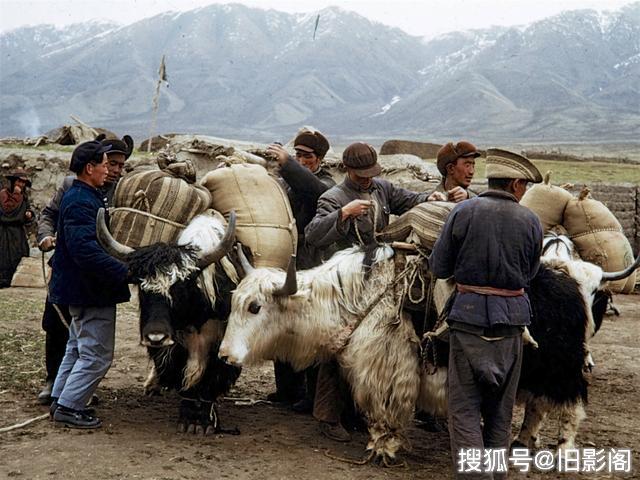 甘肃武威1957年，镜头下的天祝藏族