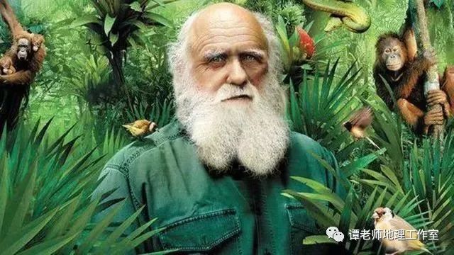 【生物地理】人类可能不是由古猿进化而来 十大正规赌博平台
