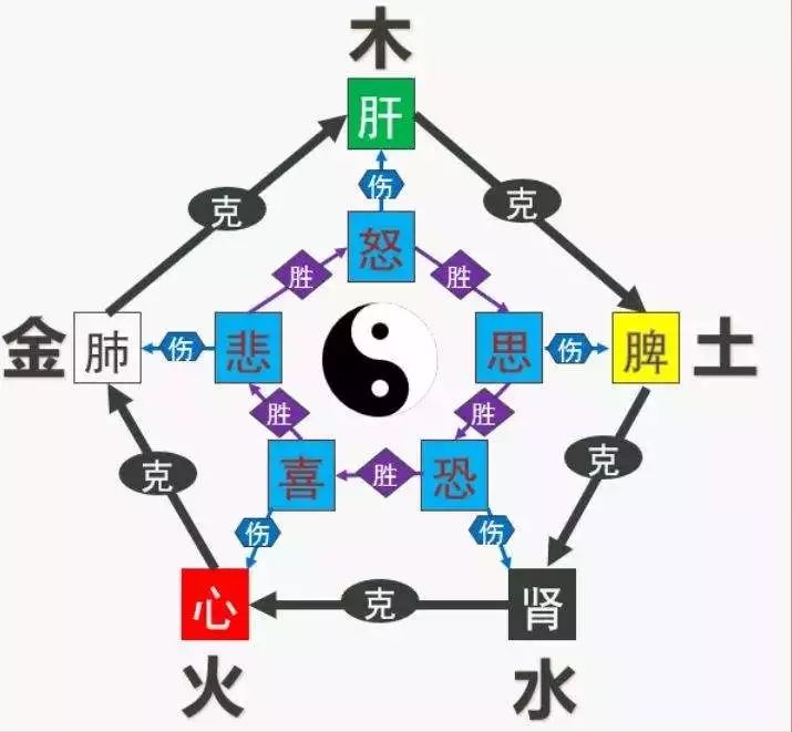 倪海厦:七情对脏腑的影响及致病特点