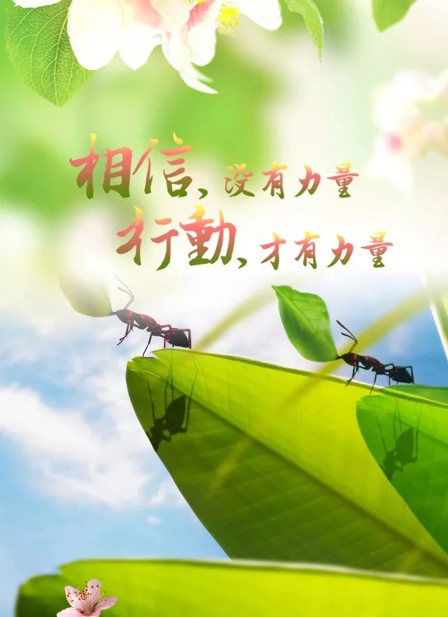 周末早安心语正能量很火语录最新版早上好图片带字正能量2019