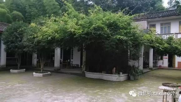 老房子,老院子