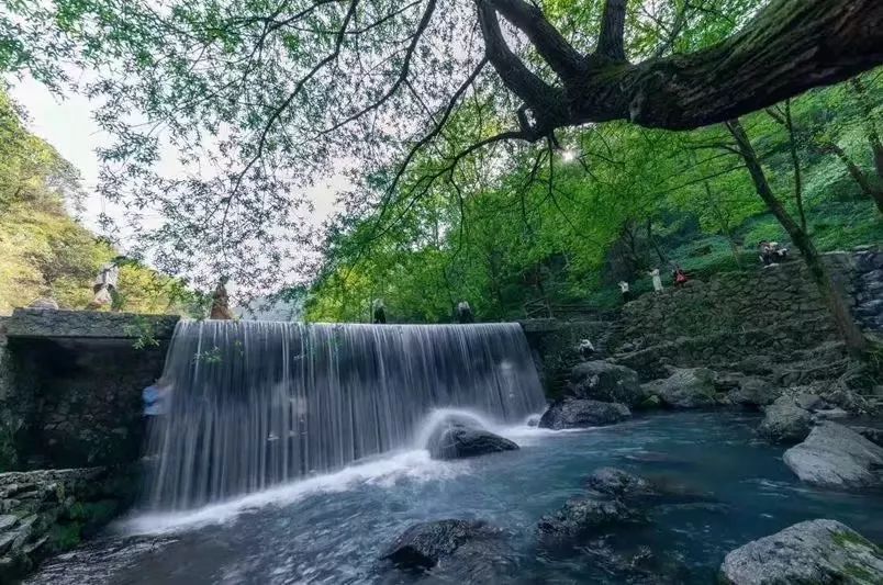 神丽峡景区位于浙江省金华市浦江县浦南街道丽水村,植被覆盖达99%以上