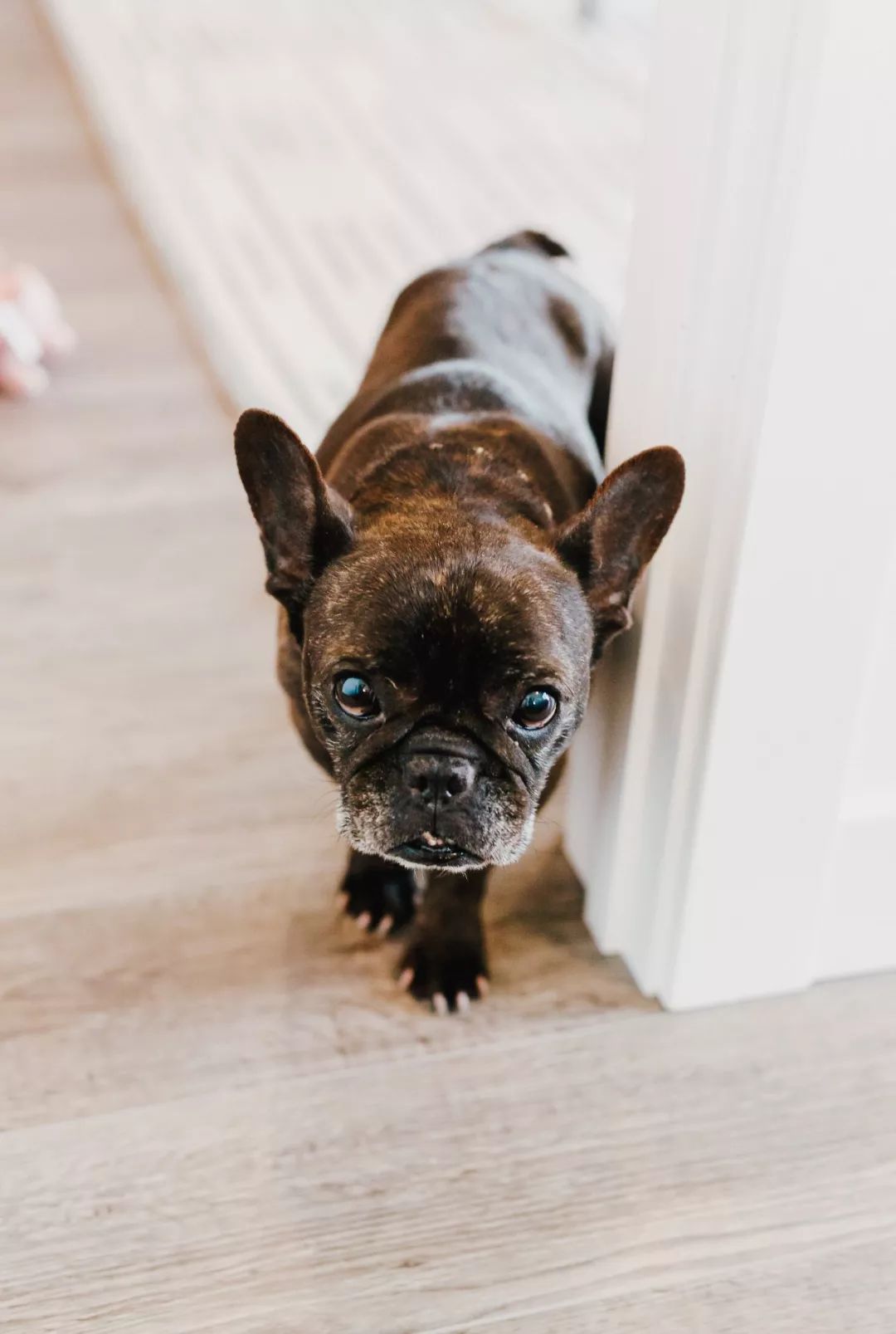 住在温尼伯是种什么样的感受?深度探索老外