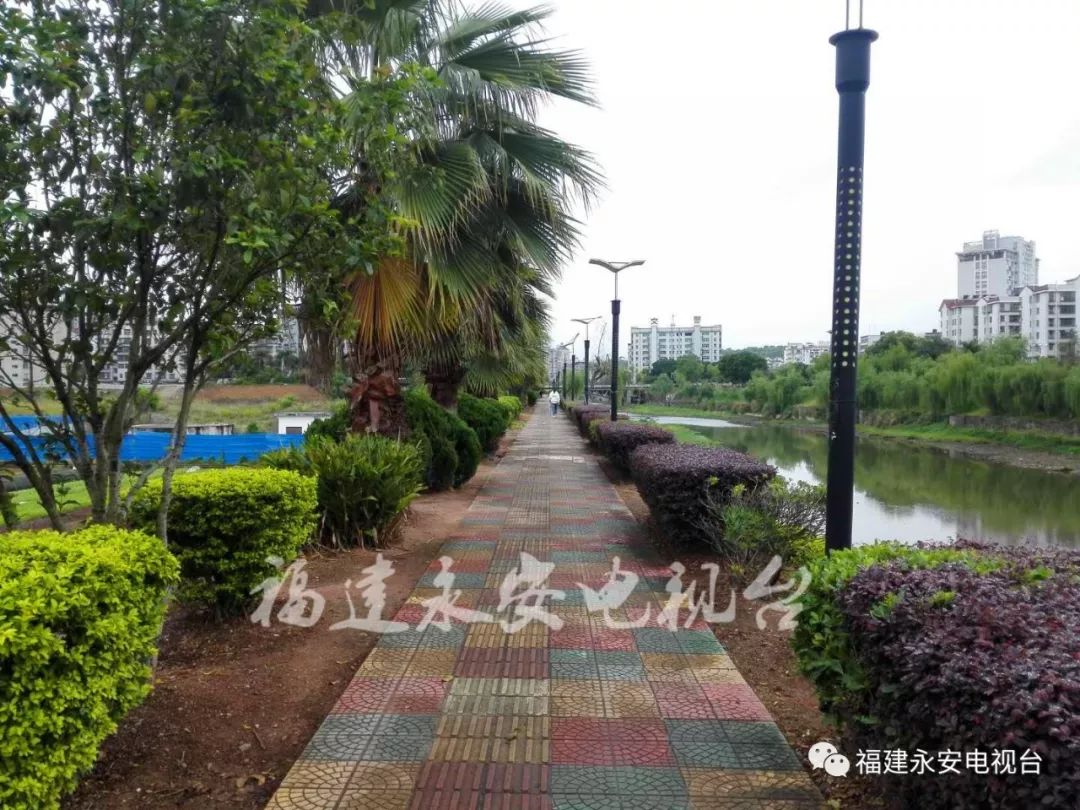 城区河水冲击河坝噪声扰民!永安有关部门积极