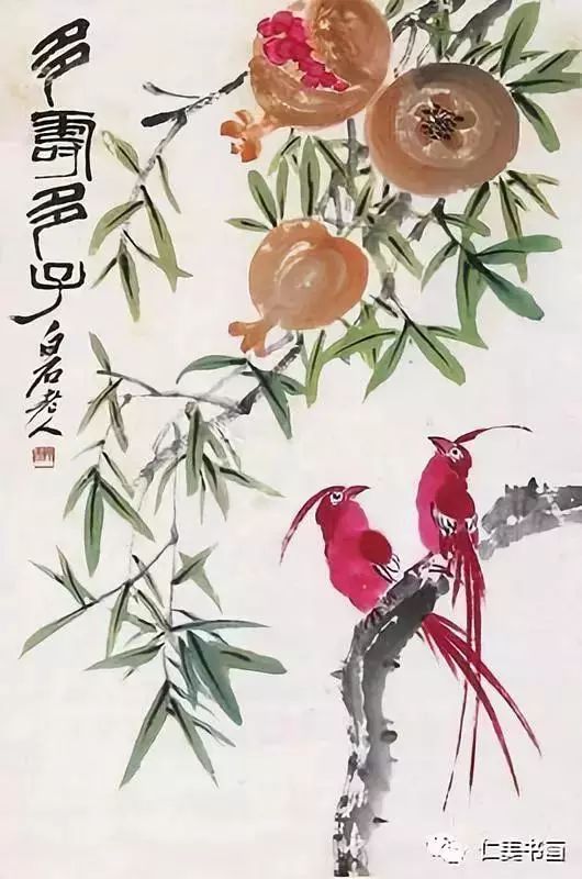 绘画步骤详解|绶带鸟能与传说中的凤凰相媲美的鸟