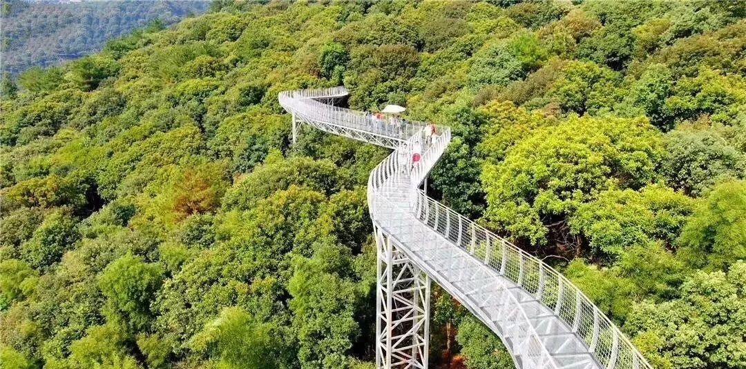 自驾游招募菲凡推荐与友同行暑期独享神奇大余丫山清凉之旅