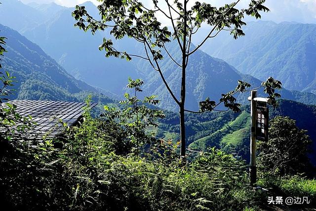 高黎贡山,怒江百鸟谷云端鸟巢