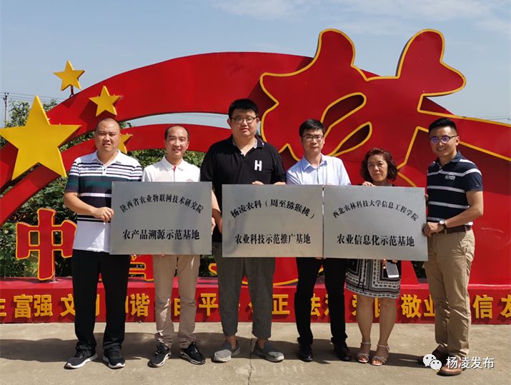 杨凌农科猕猴桃示范推广基地落户周至