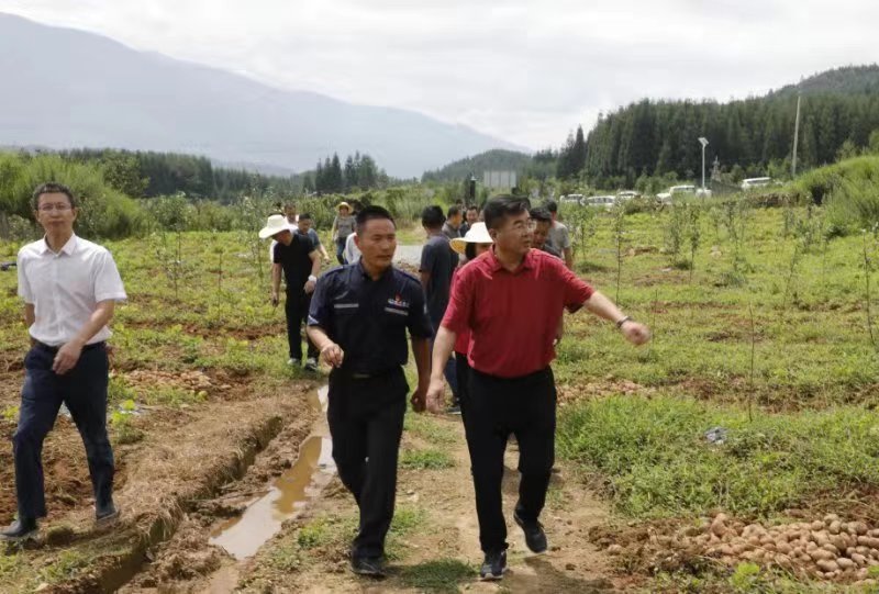 四川航空赴凉山州越西县调研脱贫攻坚工作 与西昌市政府签署战略合作
