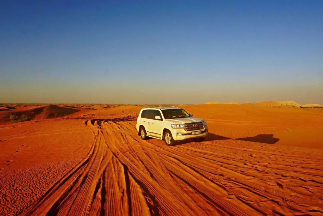 【加班的生活】加班狗的生活意见