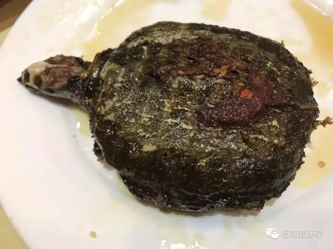 油炸小甲鱼(笔者摄于2018年1月)不知哪位美食家说过:人对食物味道的