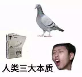 破产倒闭的公司背后，怎么就成了羊毛党的真香