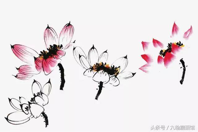 怎么画荷花?水墨画荷花绘画技法详解