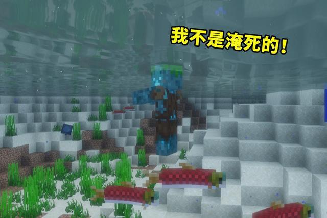 67正确答案:僵尸在得到水下呼吸效果后依然会变成溺尸,由此可见僵尸