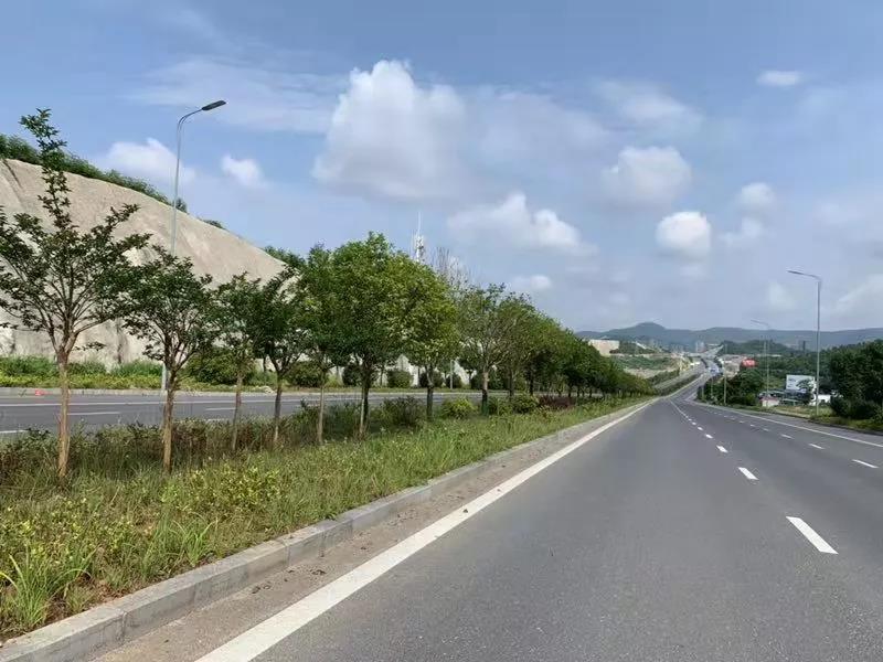 图为五福大道五福大道西起文笔北路,东至外环路.