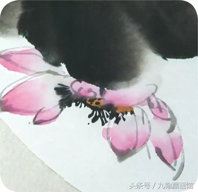 怎么画荷花?水墨画荷花绘画技法详解