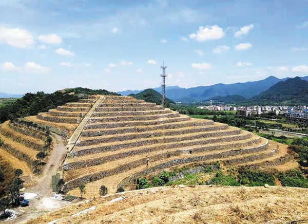 尚阳村花海梯田