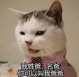 为什么说“妈妈爱你”没事儿，说“爸爸爱你”却会被打？