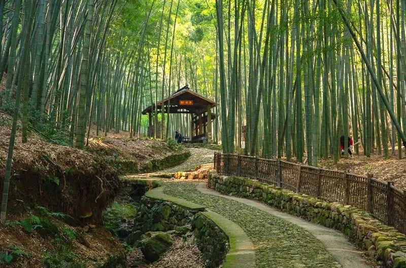 绍兴夏履首届山溪泼水节教你打开夏天的正确姿势