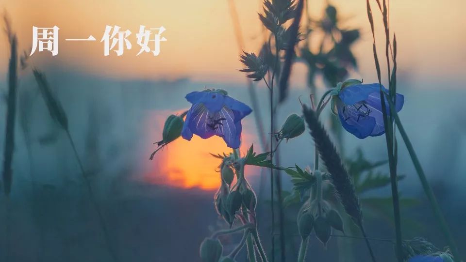 周一你好新的一周新的一天开始了