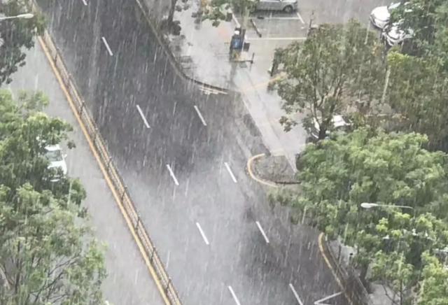 暴雨 瓢泼大雨 狂风 高温侵袭郑州!简直就像泼开水