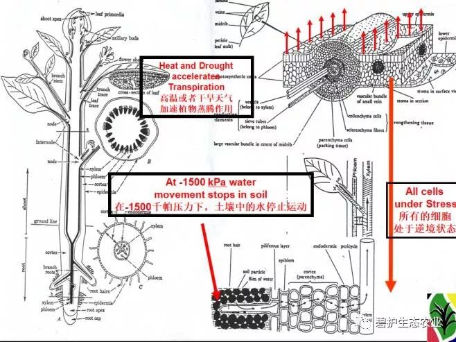 自由基的稳定性顺序 45f95a1091734cf1a1707f4de47c3743.jpeg