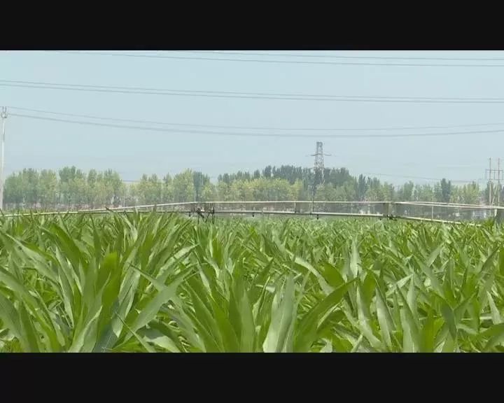 秸秆禁烧政策放宽了吗 5ebbd9cef3e94f92b2379202aaf40978.jpeg