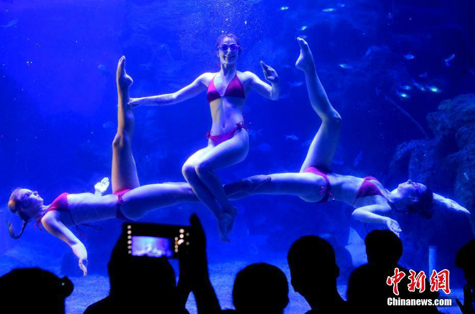 俄罗斯姑娘福州“演绎”水下芭蕾 澳门银河糖果派对app