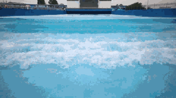 彻底地 体验快感 带来的欢乐 感受海的魅力 变幻莫测的 人造海浪接踵