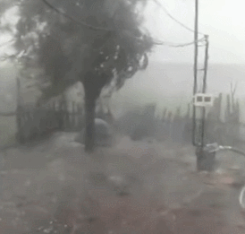 哈尔滨下了7分钟鸡蛋冰雹!西瓜地打成筛子…