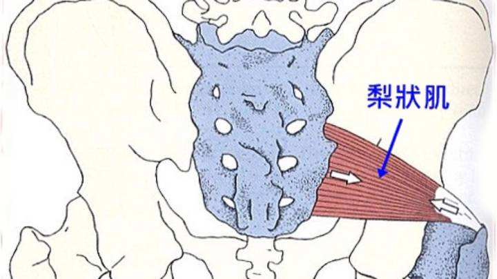 坐久了屁股疼怎么办