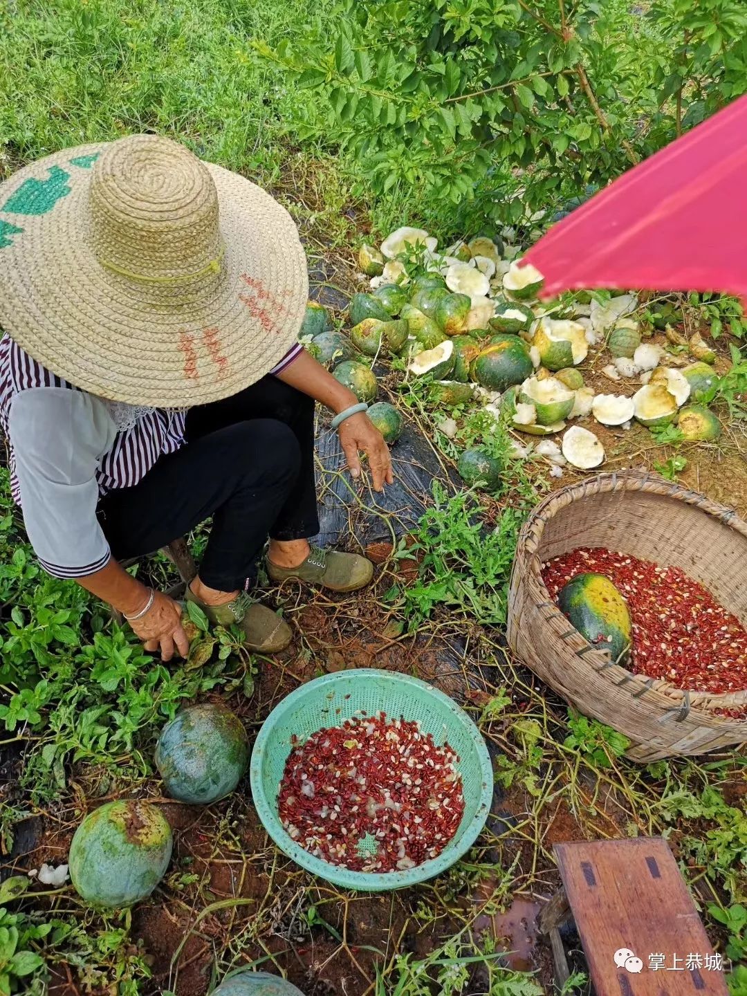 恭城有多少人口_跟我回恭城,我养你