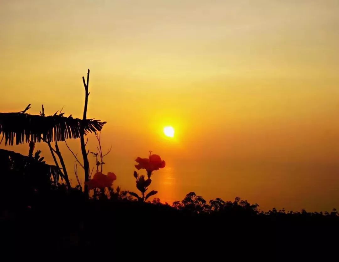 【加班的生活】加班狗的生活意见