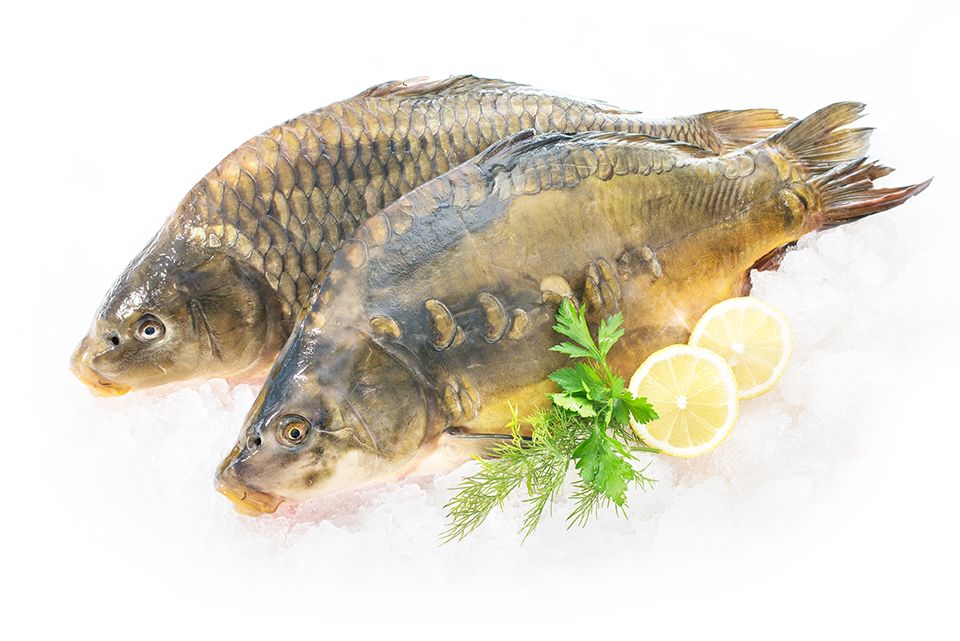 想要丰富蛋白,又不想长胖?吃它就可以