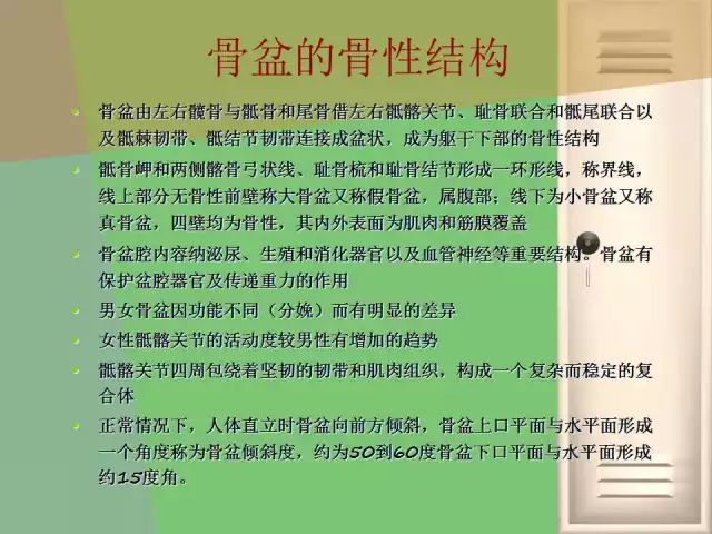 骨盆的功能解剖:骨盆关节的骨头结构