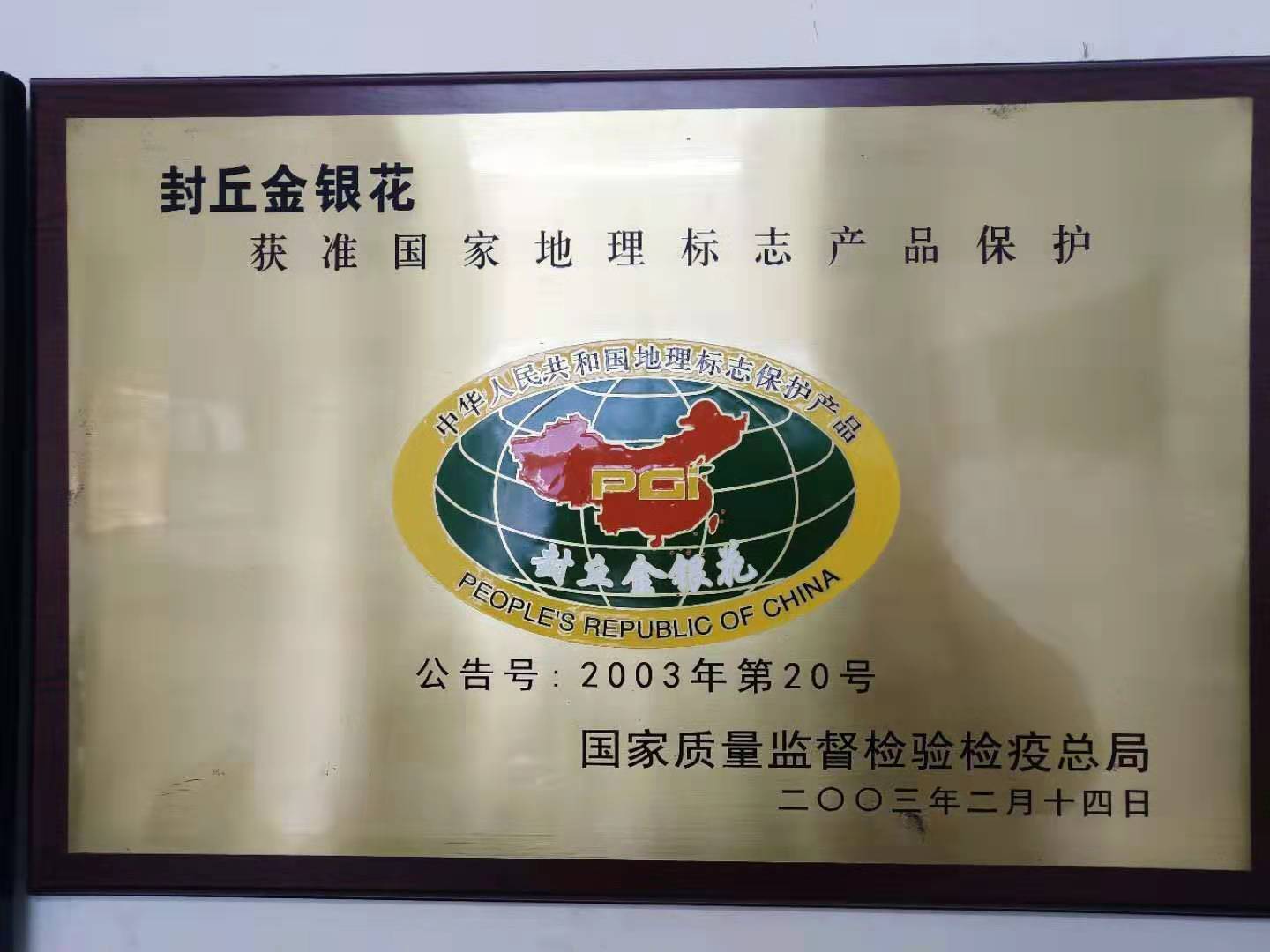 封丘gdp_封丘卷尖图片(2)