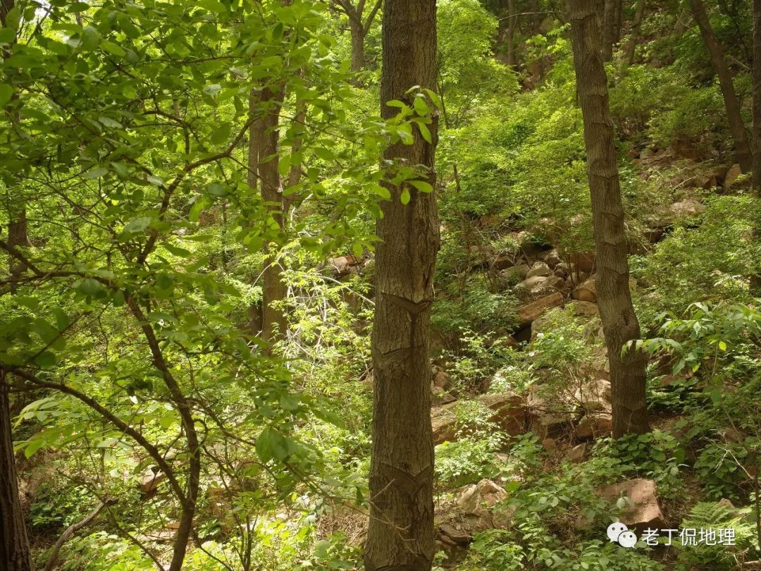 嶂石岩地貌研学考察记