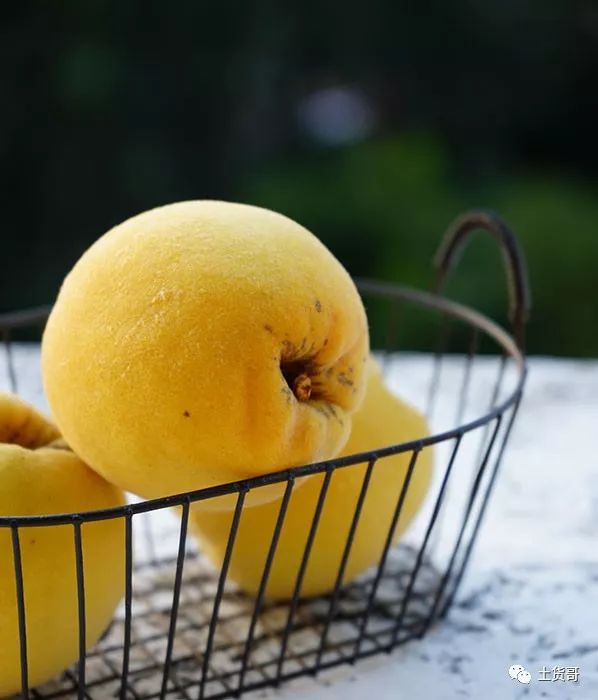 海盐优选 ▏好吃到尖叫的黄桃来了!一口咬下去