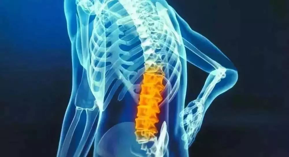 一般的骨质增生,骨刺等与腰椎不稳定有关.