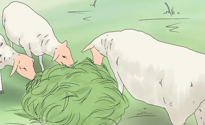 集美牧业课堂:养羊如何增加收入?这八大饲喂要