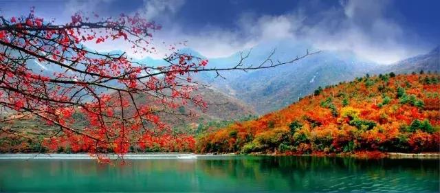 官鹅沟秋景