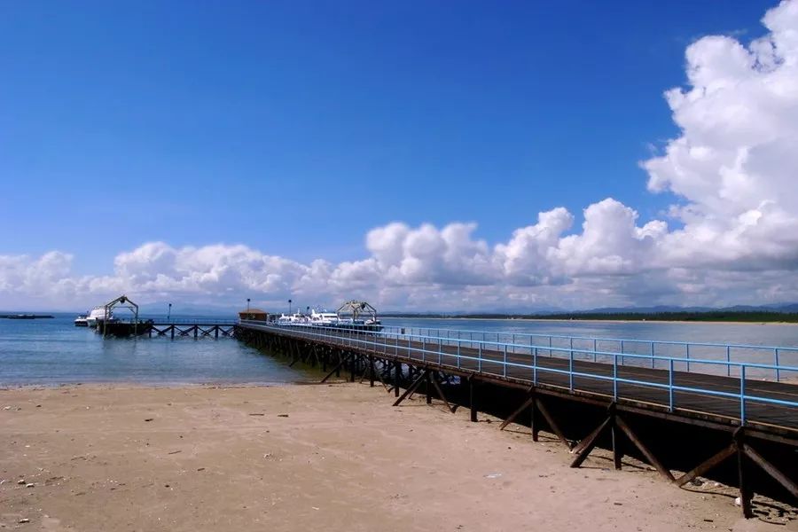 【曹静专栏】用思维导图,读议论文写作三课例