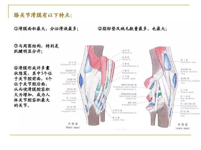 膝关节骨性关节炎的中医综合治疗