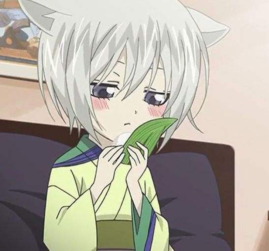 就好像《元气少女缘结神》,里面的男主角巴卫真身也是一只狐狸 这个