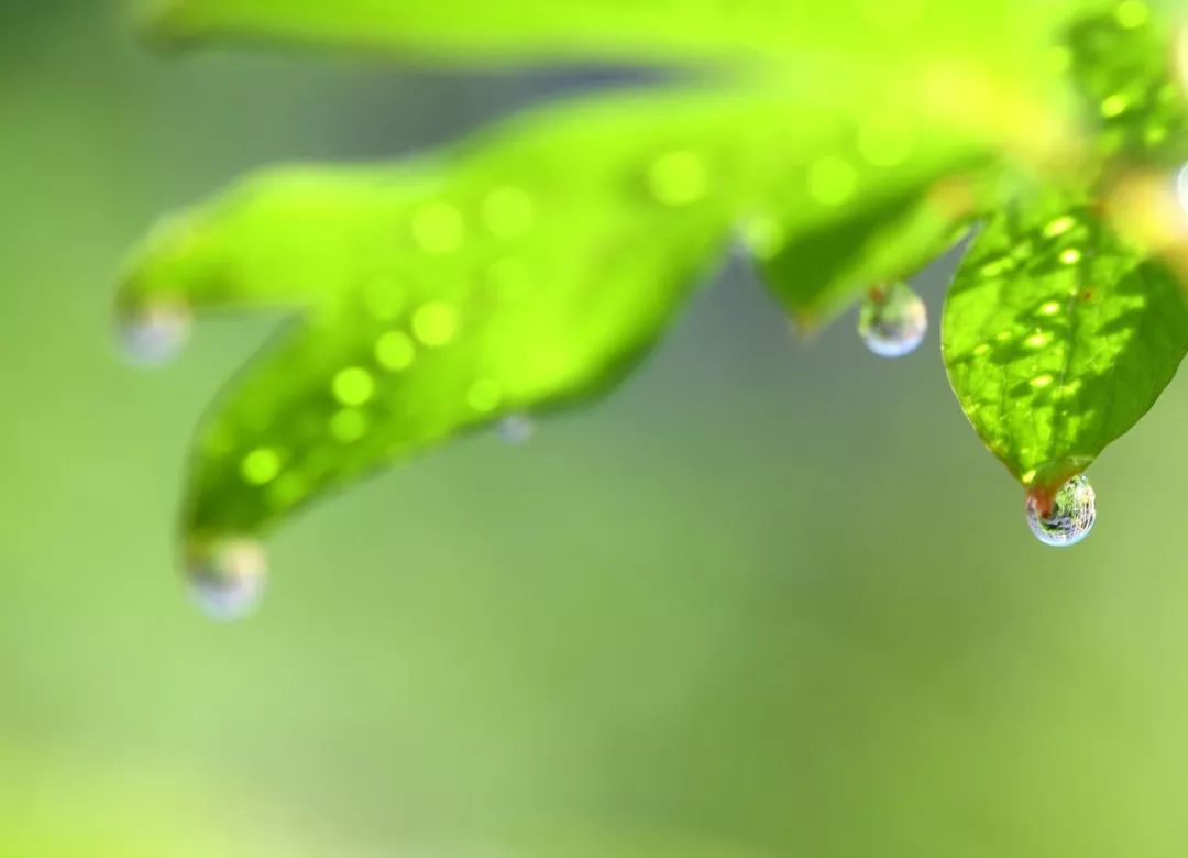 不要把生命,活成一场无尽的等待