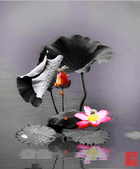 回首,一些记忆,在时间的缝隙里藏匿,或跌宕起伏,或静水流深.