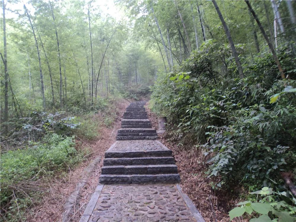 西山游步道