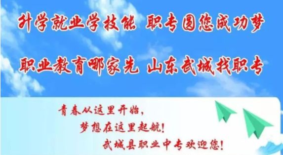 武城招聘_2020德州武城县人民医院招聘工作人员50人报名入口