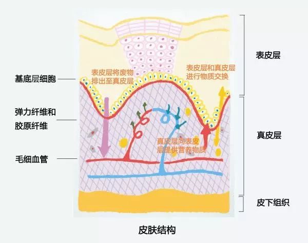                     距离否认腰间赘肉疑似怀孕才多久，奚梦瑶挺着孕肚又上了热搜